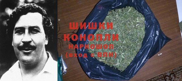 прущие крисы Кодинск