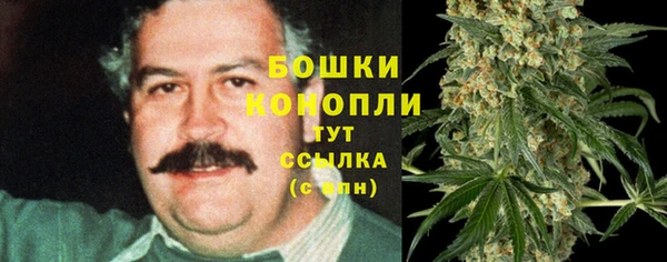 МДПВ Карпинск