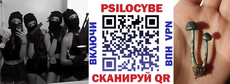 KRAKEN вход  дарнет шоп  Ессентуки  Псилоцибиновые грибы Psilocybine cubensis 